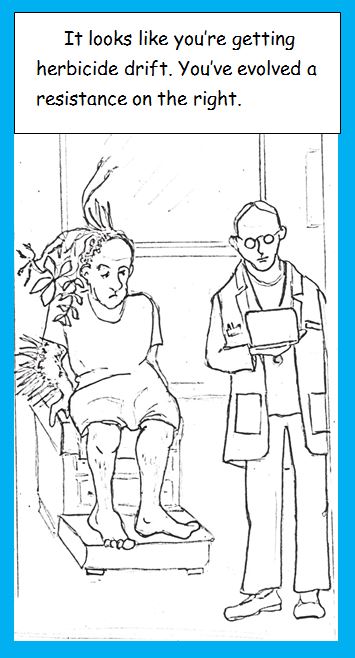 One-Panel: The Cultivated Man