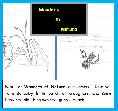 One-Panel: Wonders of Nature