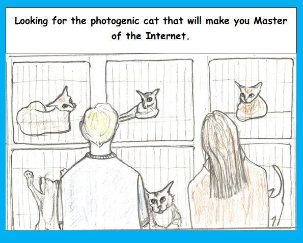 One-Panel: Agent Seeks Client