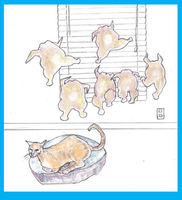 One-Panel: Perhaps I Dream