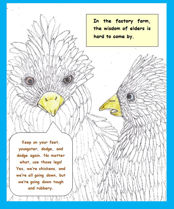 One-Panel: Don't Count Your Chickens