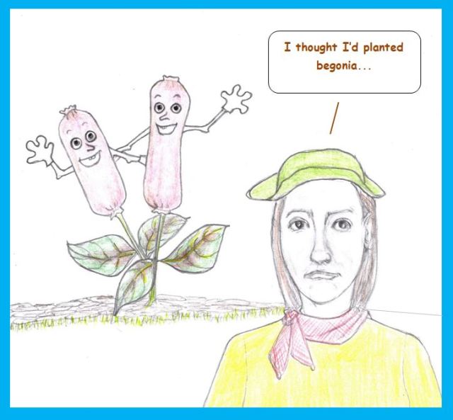 One-Panel: What's Coming Up