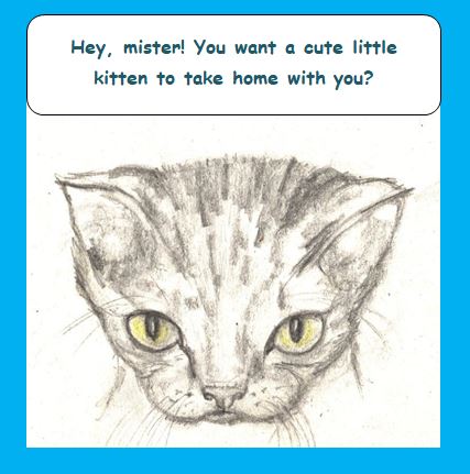 Dynamo Brothers: Would a New Kitty Help?