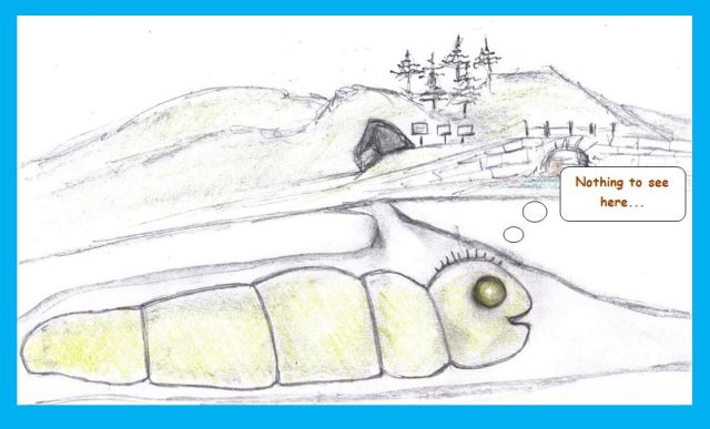 Cartoon of cave worm